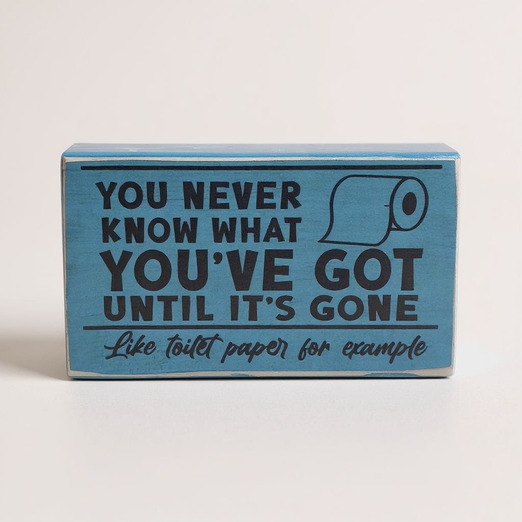 A rectangular light blue wooden sign with black text that reads 'YOU NEVER KNOW WHAT YOU'VE GOT UNTIL IT'S GONE Like toilet paper for example' and a simple toilet paper roll illustration, photographed on a plain light background.